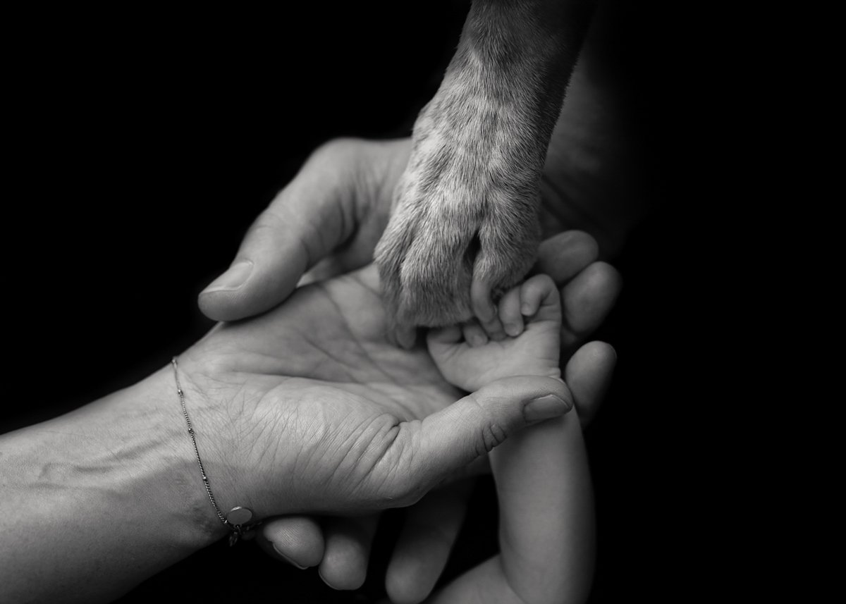 Newborn – Portfolioaufnahme 77